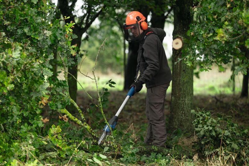 Una persona, munita di dispositivi di protezione individuale, pota i rami di un albero con una sega telescopica a batteria.