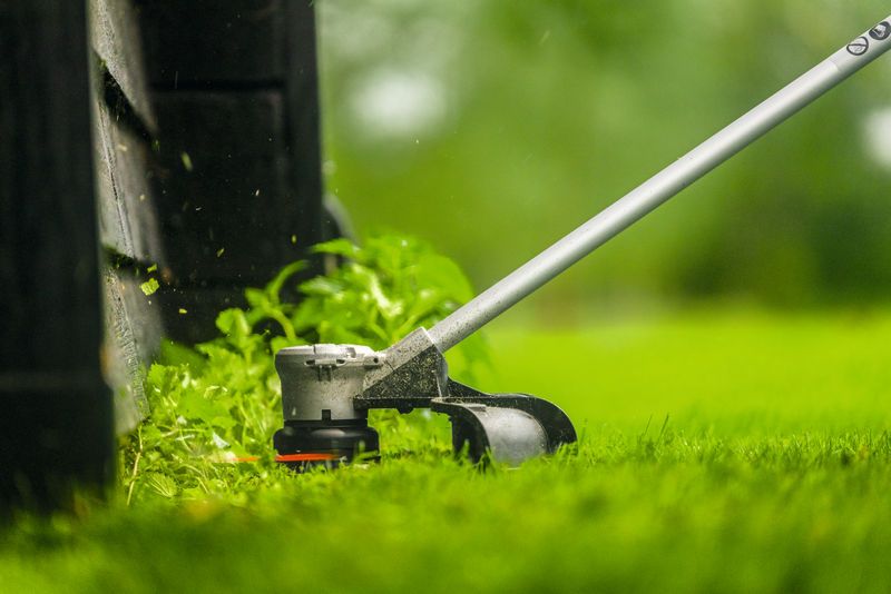 Il tagliabordi a batteria con rocchetto di filo sinistro a taglio basso taglia l'erba lungo il bordo del giardino.