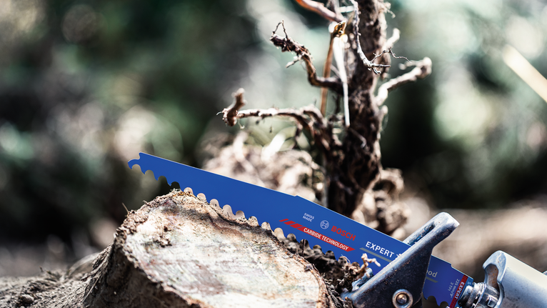 Lama di sega montata su un elettroutensile che taglia il ramo di un albero all'aperto.