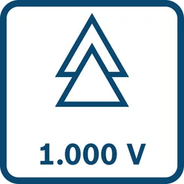 1000 V