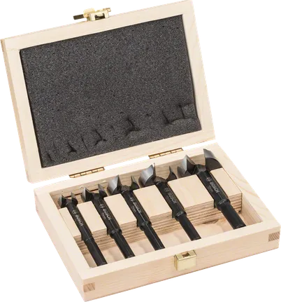 5-teiliges Forstnerbohrer-Set von Bosch im Holzkoffer.