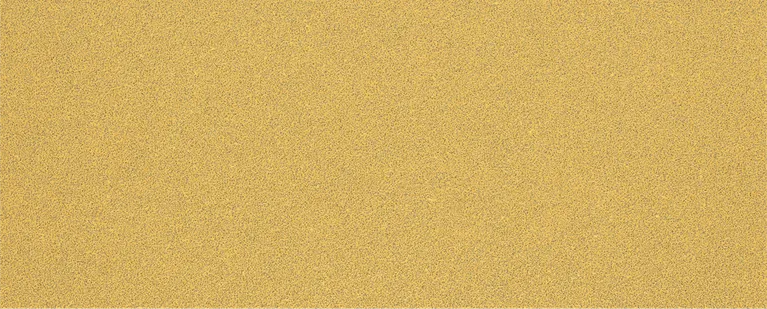 Bosch EXPERT C470 Schleifpapierblatt G 60 ohne Löcher.