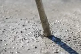 Borehoved hvirvler gennem våd beton, vand og snavs sprøjter omkring det.