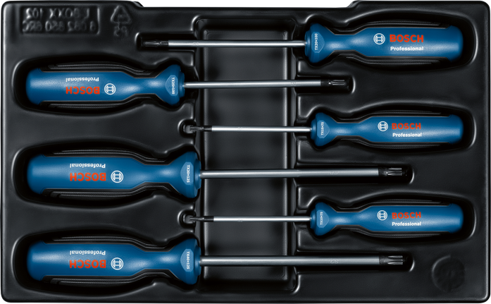 Bosch 6-piece TX screwdriver set in open tray.
