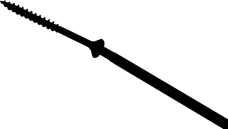 Long metal screw with a hexagonal head partially shown against a white background.