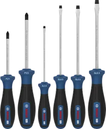 Bosch PRO Screwdriver Set PZ/SL 6 pcs with S2 shafts.