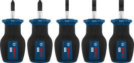 Bosch PRO Stubby Screwdriver PH/SL Set with S2 shafts.