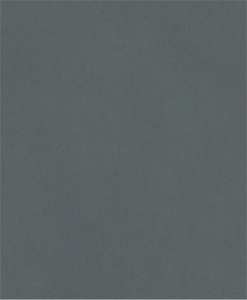 Bosch PRO C344 wet and dry hand sanding sheet G600.