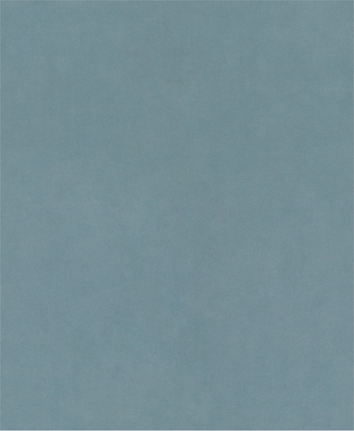 Bosch PRO C344 wet and dry hand sanding sheet G1000.