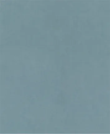 Bosch PRO C344 wet and dry sanding sheet, 1200 grit.