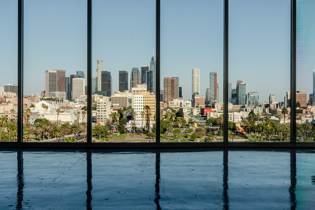 Vista desde la ventana de la oficina con vistas al horizonte de la ciudad, con edificios y palmeras.