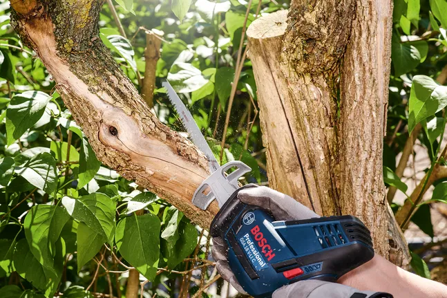 Una persona, equipada con material de seguridad, corta la rama de un árbol con una sierra de vaivén.