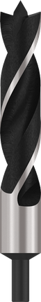 Bosch PRO -puuporanterä, kärki 30 x 160 x 220 mm.