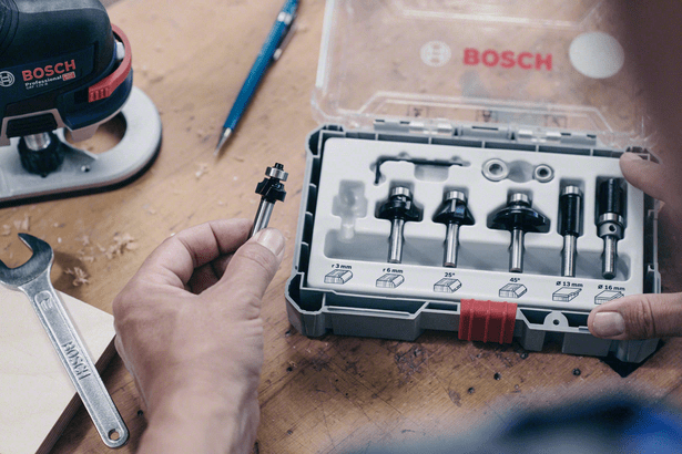 Bosch Professional 15 pièces Kit de Fraises Mixtes (pour Bois, Ø 8 mm  Queue, Accessoires pour Défonceuses Portatives, Affleureuses)