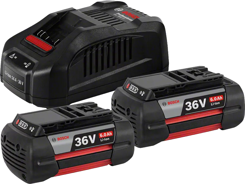2 batteries 36V6.0Ah + GAL3680CV