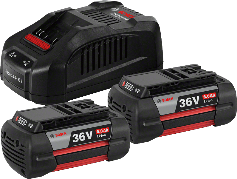 2 batteries 36V6.0Ah + GAL3680CV