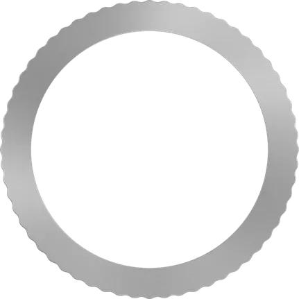 Bague de réduction Bosch pour lame de scie circulaire PRO 20x16 mm.