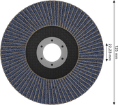 Disque à lamelles Bosch X451 125 mm G80 avec alésage de 22,23 mm.