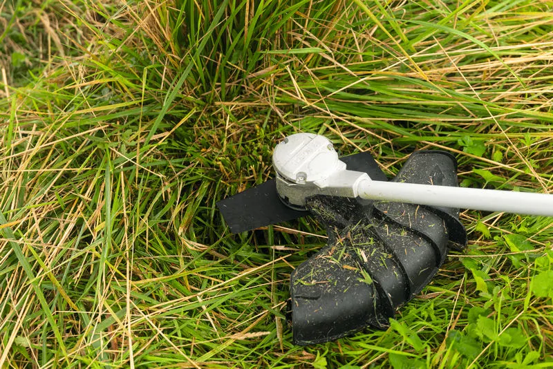 Débroussailleuse sans fil avec une lame 2T de 25 cm pour couper les herbes hautes.