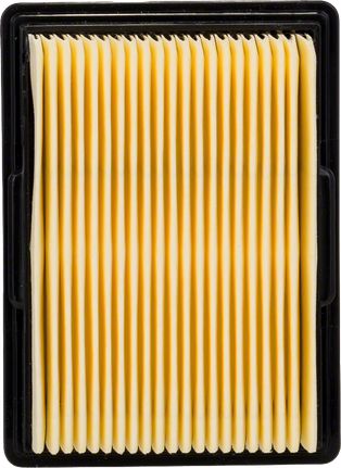 Bosch rectangular pleated dust filter for vacuum cleaners.
