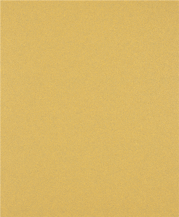 Bosch EXPERT C470 sandpaper sheet G 80 no holes.