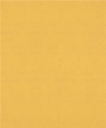 Bosch EXPERT C470 sandpaper sheet 230x280 mm G220.