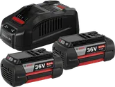 Bosch 36V 6.0Ah battery set with charger.