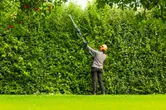 A person wearing safety equipment trims tall hedges using a cordless hedgecutter.