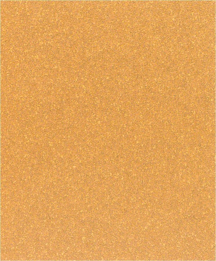 Bosch C470 sanding sheet grit 40 no holes.