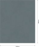Bosch PRO C344 wet and dry hand sanding sheet 800 grit.