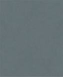 Bosch PRO C344 wet and dry G800 sanding sheet, no holes.