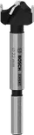 Bosch EXPERT Laminated Wood Hinge Cutting Drill Bit 22 mm.