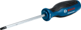 Bosch T30 screwdriver with ergonomic blue handle.