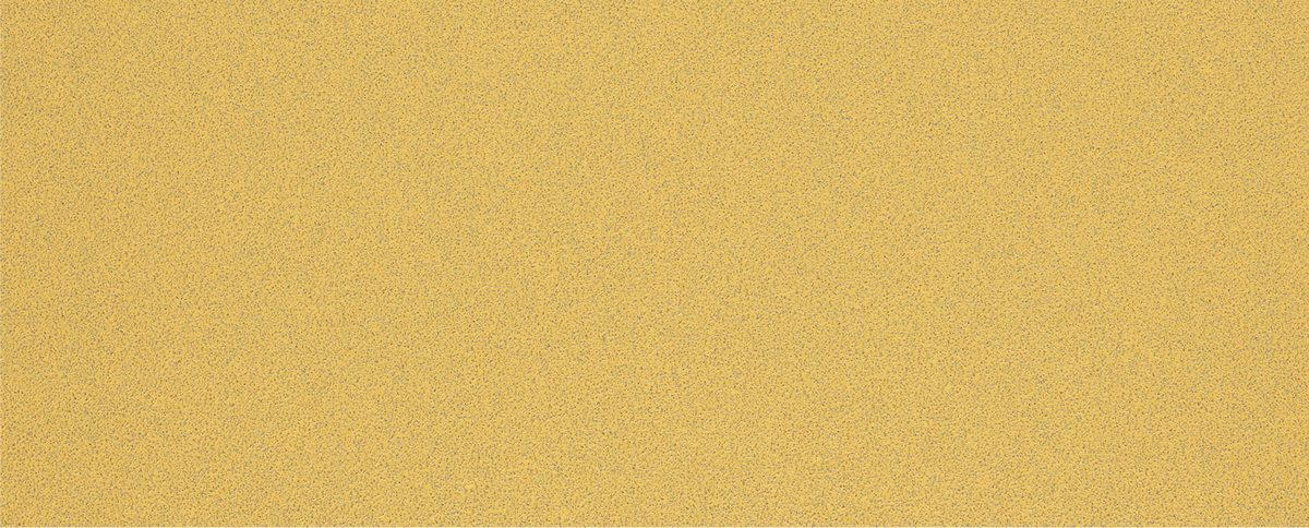 Carta abrasiva Bosch EXPERT C470 G80 senza fori per levigatrici orbitali.