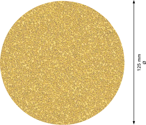 Disco abrasivo Bosch EXPERT C470, 125 mm, grana 40.