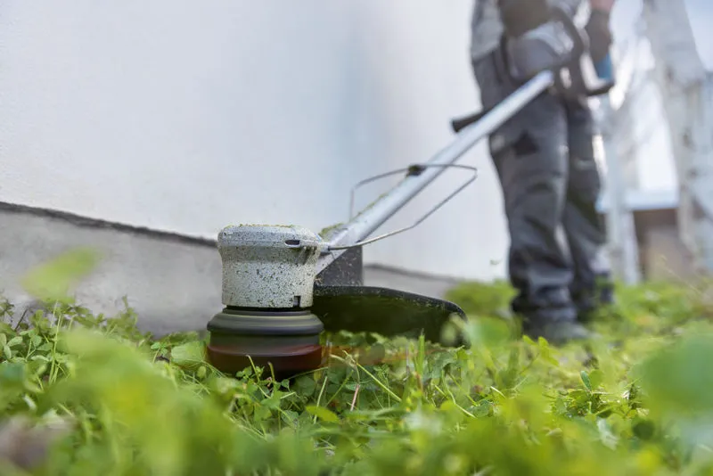 Una persona che indossa un equipaggiamento di sicurezza taglia l'erba lungo un muro utilizzando un tagliabordi a batteria.