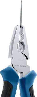 Object #200586099: 7822131_app_web_01