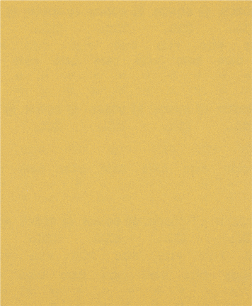 Bosch EXPERT C470 sandpaper sheet 120 grit no holes.