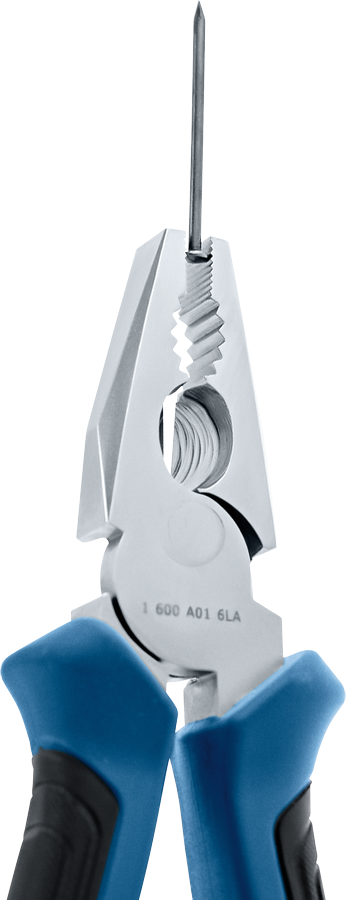 Object #200586099: 7822131_app_web_01
