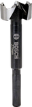 Bosch Forstner urbis 27 mm precīziem plakaniem caurumiem.