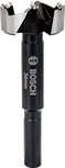 Bosch Forstner urbis 34 mm tīriem, plakaniem caurumiem.