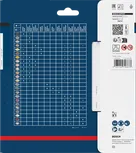 Bosch EXPERT šķiedru cementa ripzāģa asmens 160 mm iepakojums.