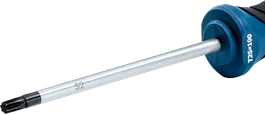 Bosch TX25x100 S2 shaft screwdriver.