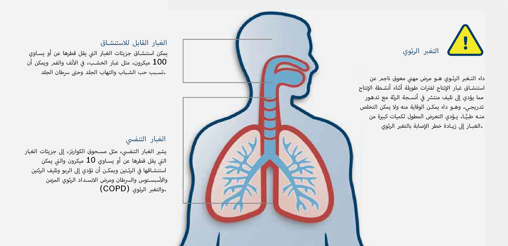 رسم لجسم إنسان مع رئتين ومجاري تنفسية، أزرق-أحمر.