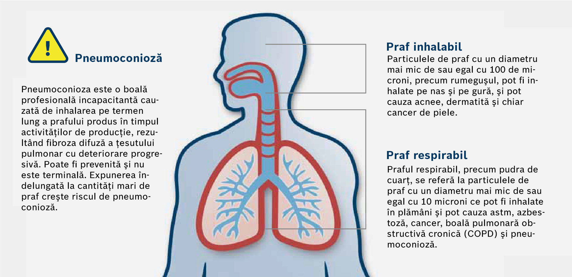 Grafic despre pneumoconioză cu plămân uman și avertisment.