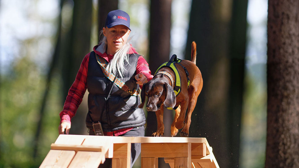 Žena s kloboukem vede psa přes dřevěnou platformu v lese.