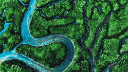 Grön landskap med slingrande blå floder i vattnet.