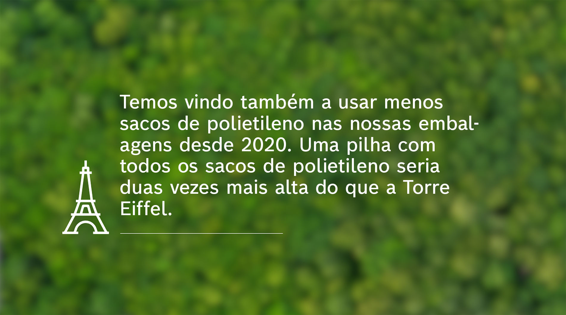 Texto em fundo verde sobre embalagem ecológica.