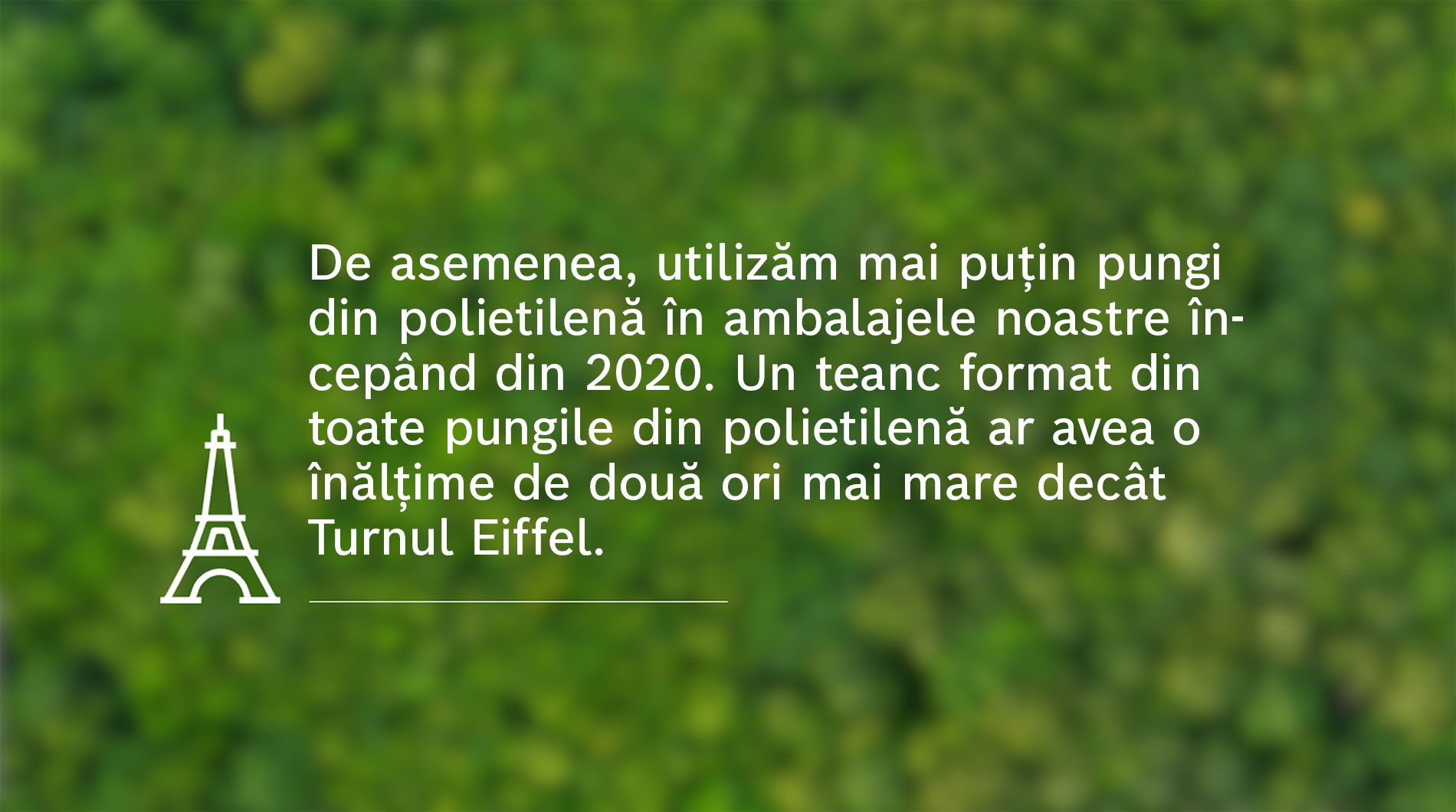 Text pe fundal verde despre ambalaje ecologice.