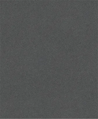 Bosch PRO C344 wet and dry sanding sheet G150.